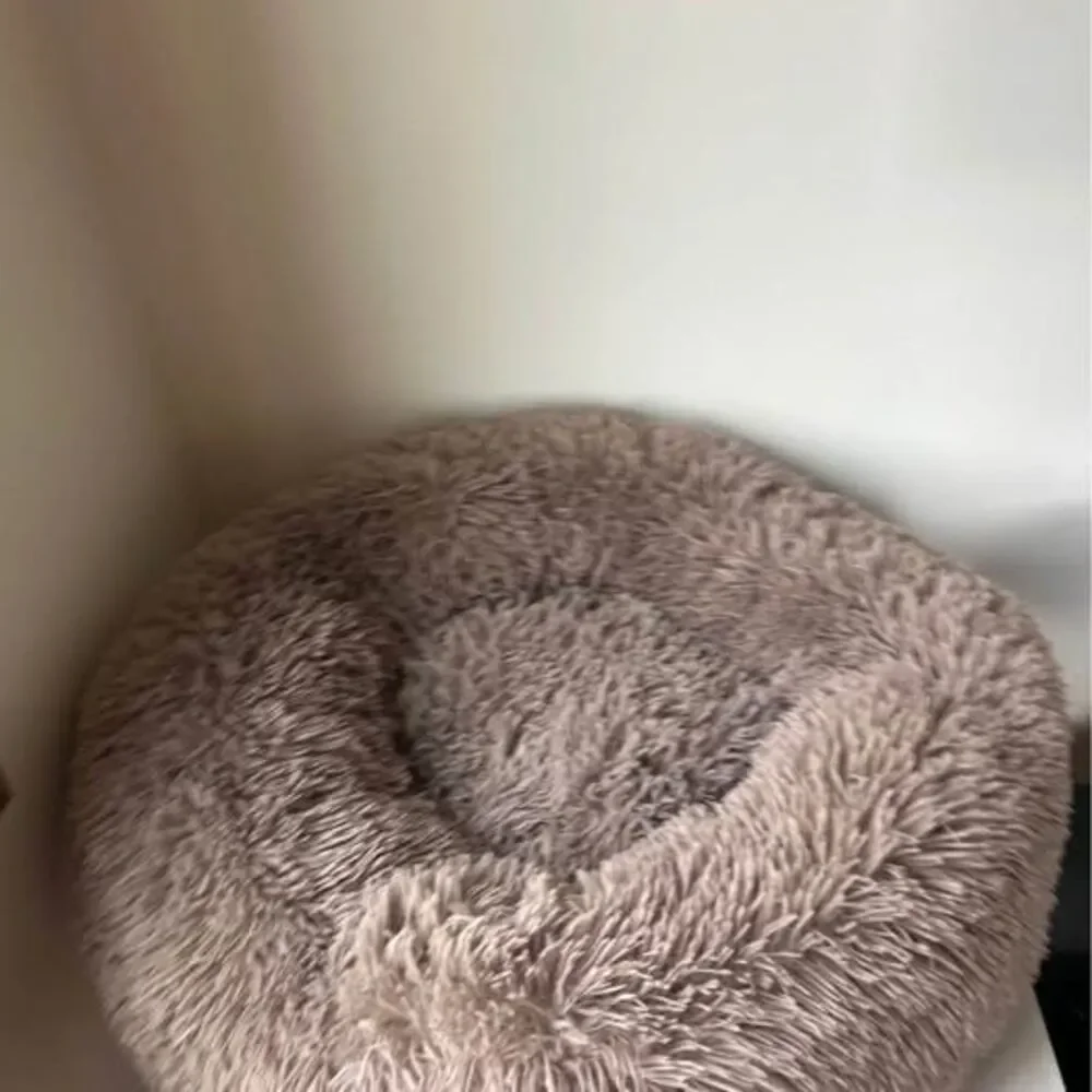 Large dog/cat bed